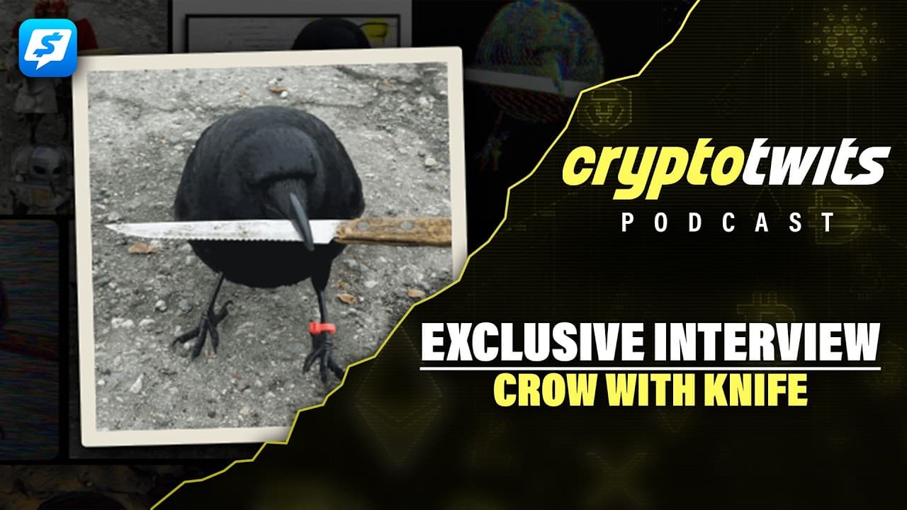 How a Meme Coin Turned Into a Crypto Education Club (CROW WITH KNIFE Interview)